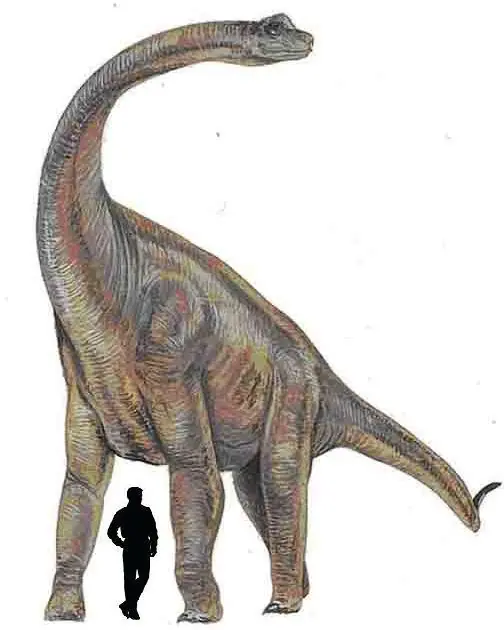 braquiosaurio
