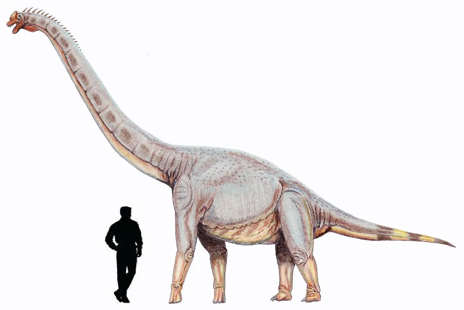 dinosaurio
