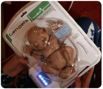 mascotas