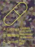 aminas estimulantes, metanfetamina