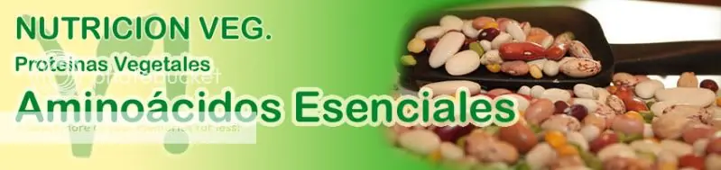 Vegetaringa! Proteinas y Aminoacidos