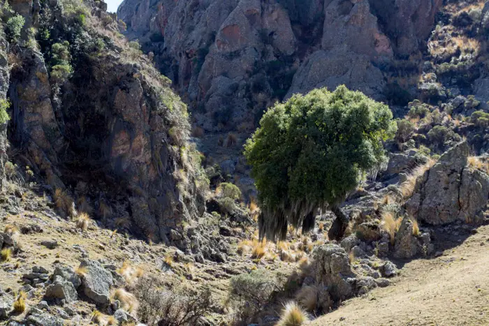 sierras de cordoba