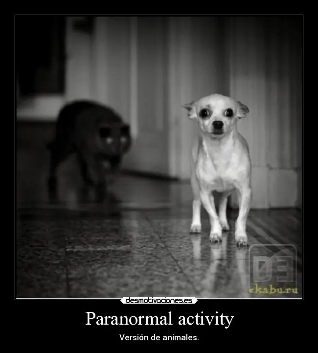 humor en imagenes-