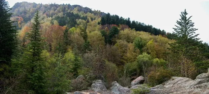 sierras grandes