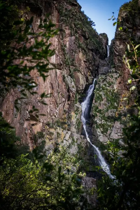 Los Gigantes