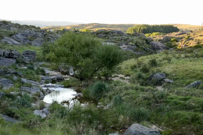 quebrada del condorito