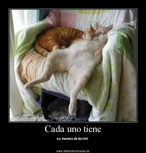 risas