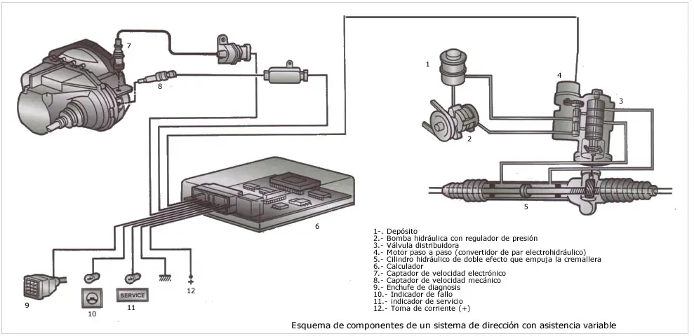 distribucion