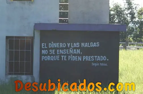 estupidos