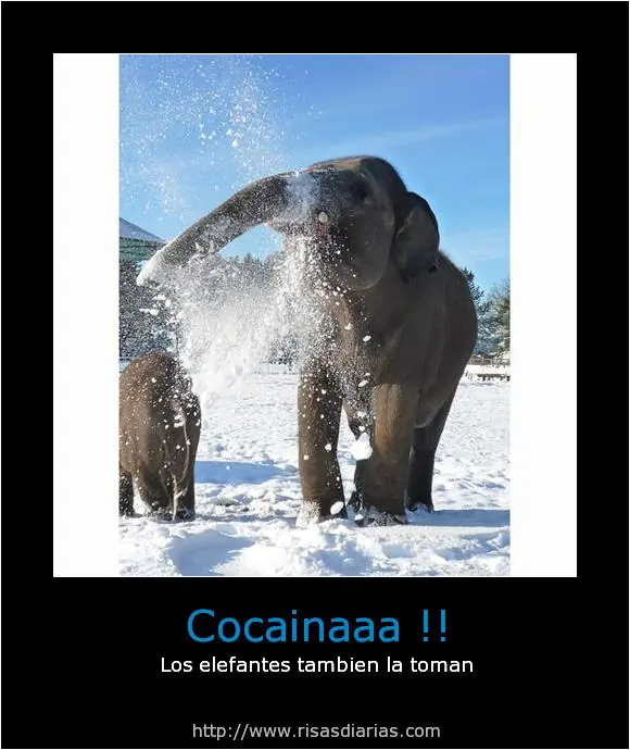 humor en imagenes-