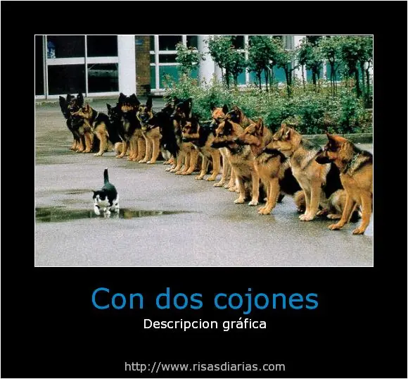 desmotivaciones