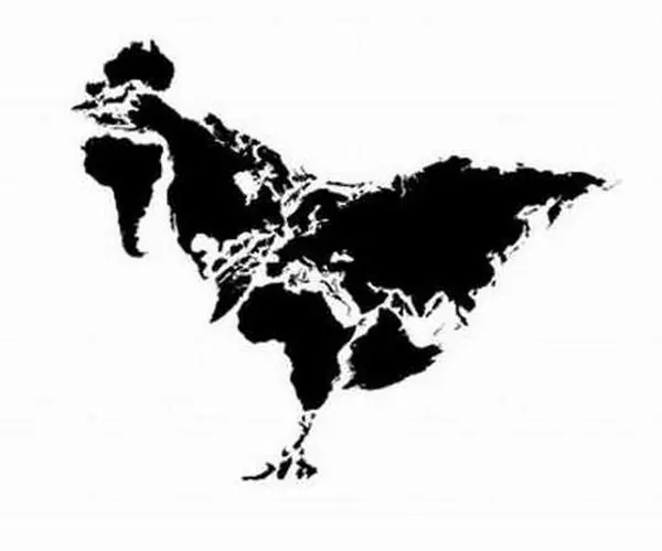 Algunos animales hechos con los continentes
