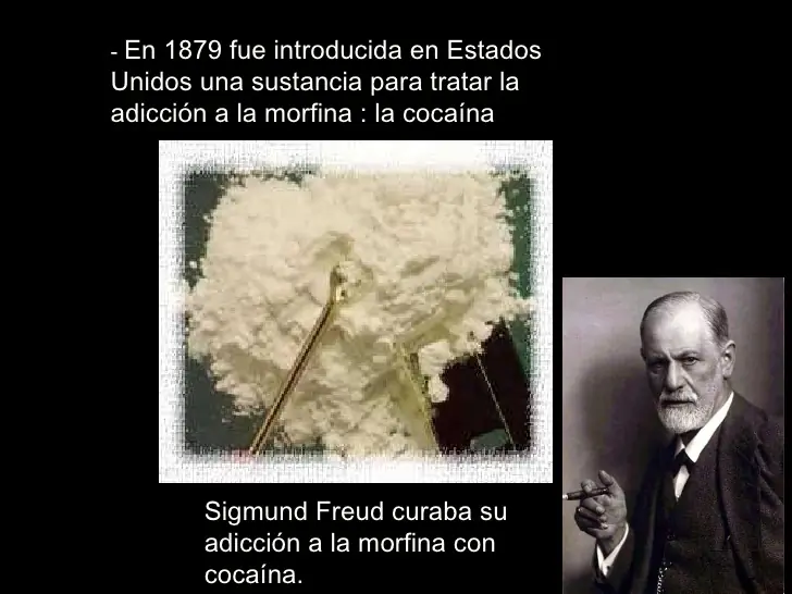curiosidades