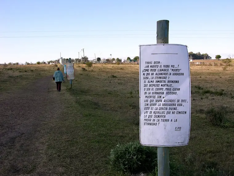 Citrus