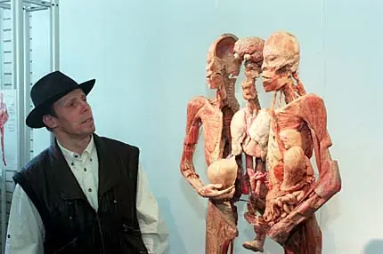 anatomia