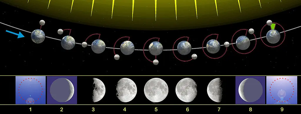 Datos sobre la Luna que seguro desconocías.