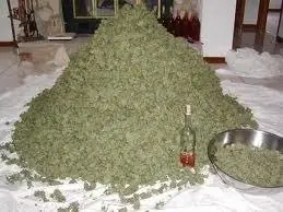 marihuana efectos