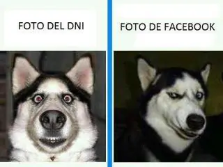 Si eres de Risas Rapida no Veas Esto porque te vas a rreir