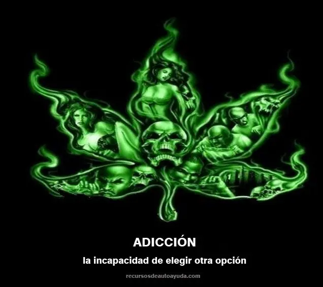 Informate! Conoce a la polemica plantita