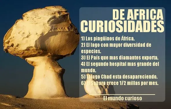 Cosas de africa que no son muy conocidas
