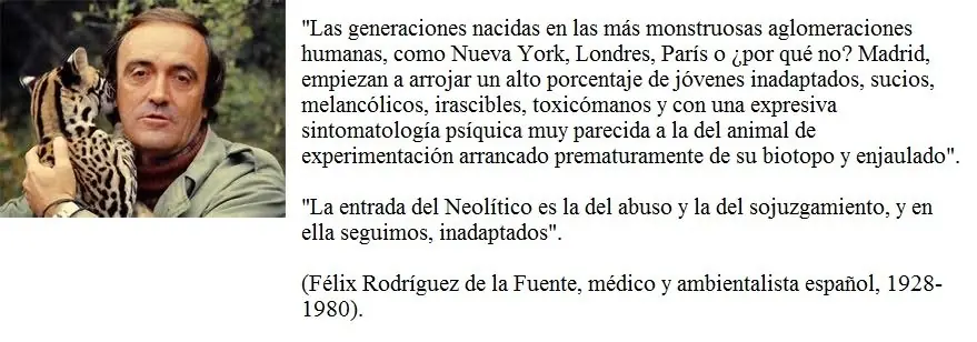 civilizacion