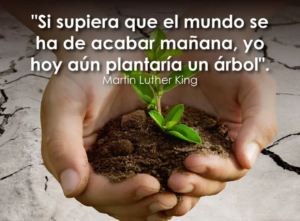 naturaleza