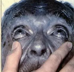 medicina