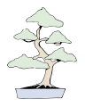 bonsai
