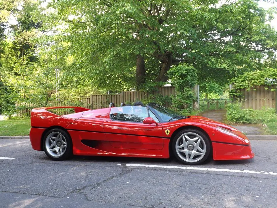 ferrari enzo