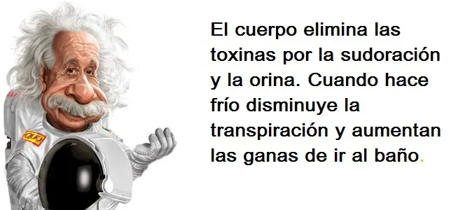 datos interesantes