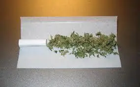 marihuana uruguay