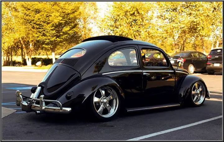 Muscle Cars