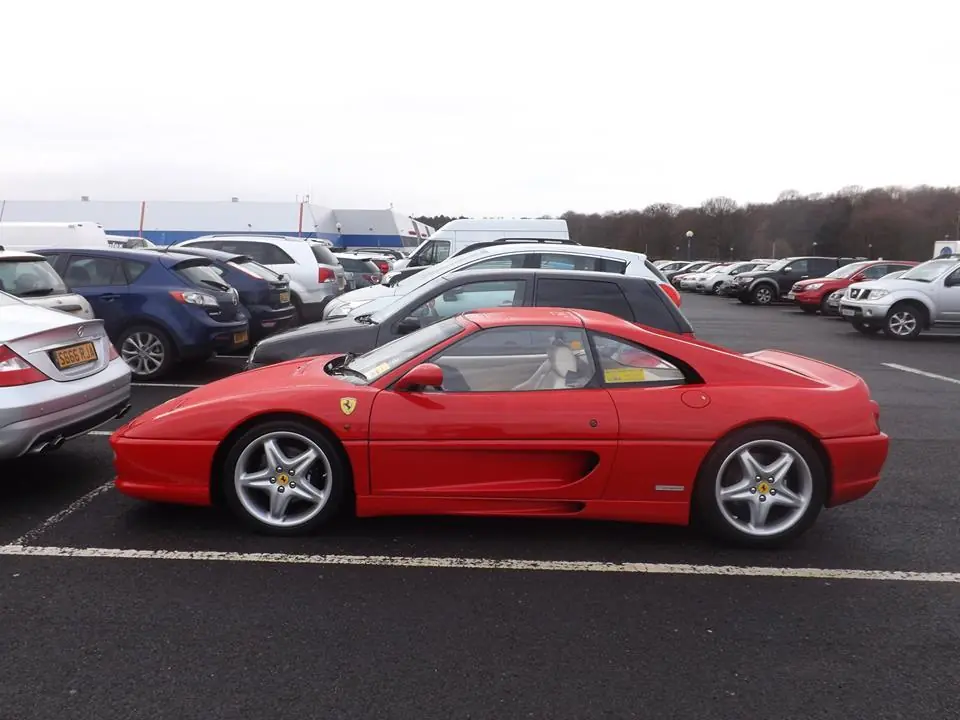 ferrari enzo