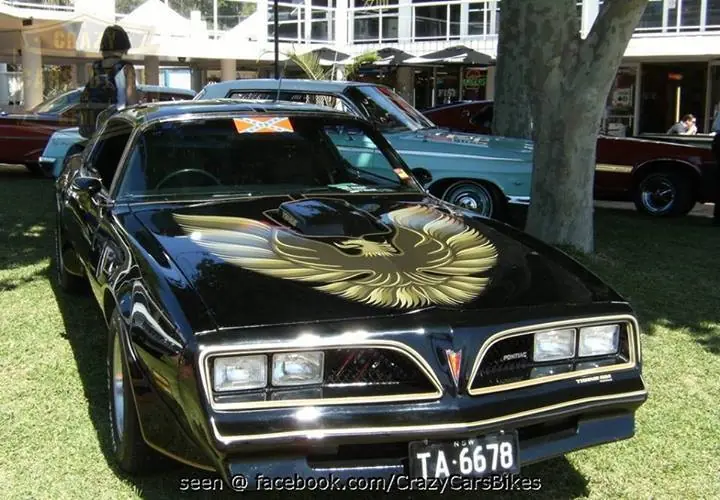 Muscle Cars