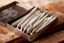 Informate! Conoce a la polemica plantita