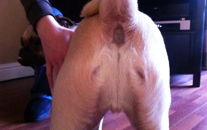 religion