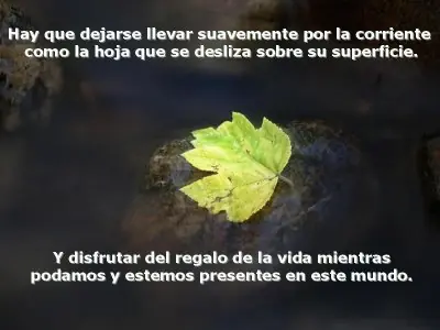 corazon