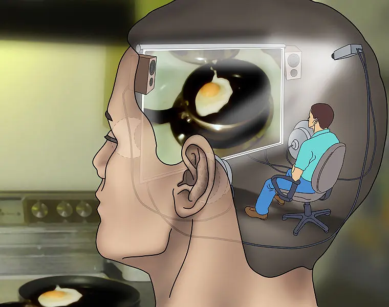 estudio de los tipos de psicologia