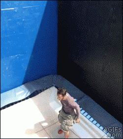 Memes y Gifs, comentan todos