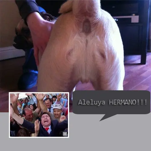 humor