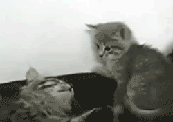 Comico