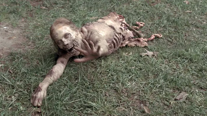 Como ser un buen Zombie.