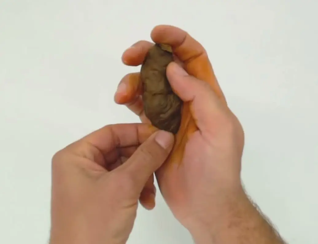 caca falsa