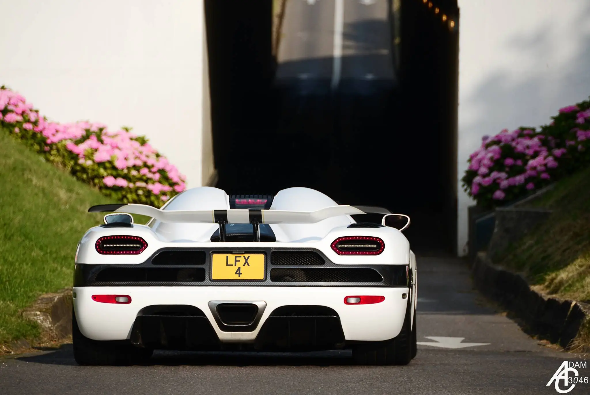 ferrari enzo