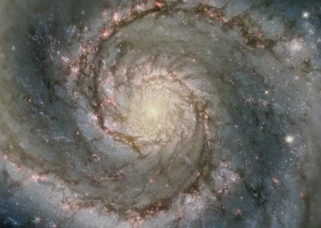 ¿Qué es la sucesión de Fibonacci?