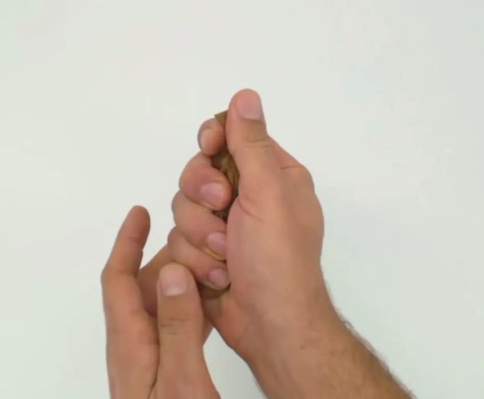 inocentada