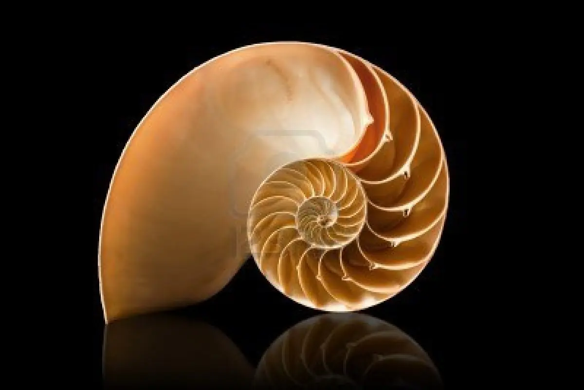 naturaleza