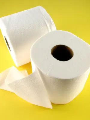 La increíble historia del papel de baño (y sus curiosidade