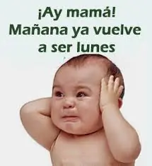 dolor