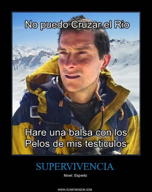 Bear: El mas grande!